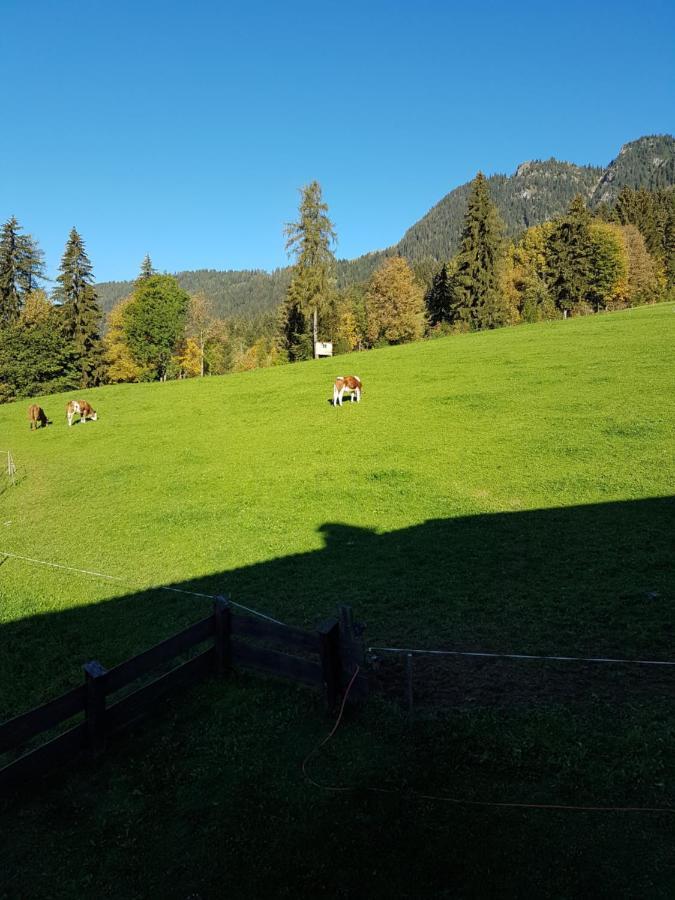 Haus Theresia Alpbach Luaran gambar