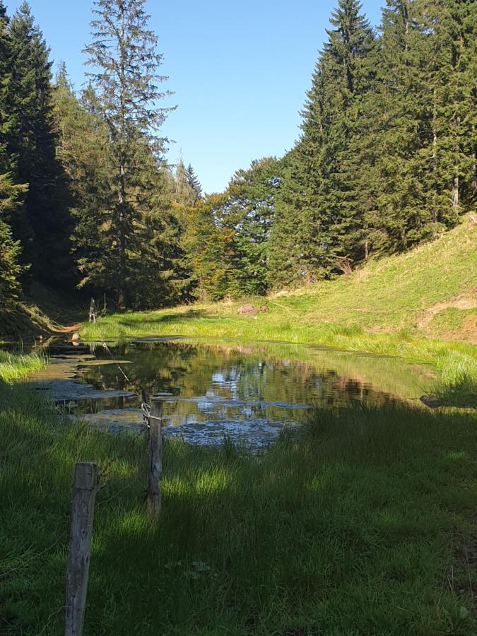 Haus Theresia Alpbach Luaran gambar