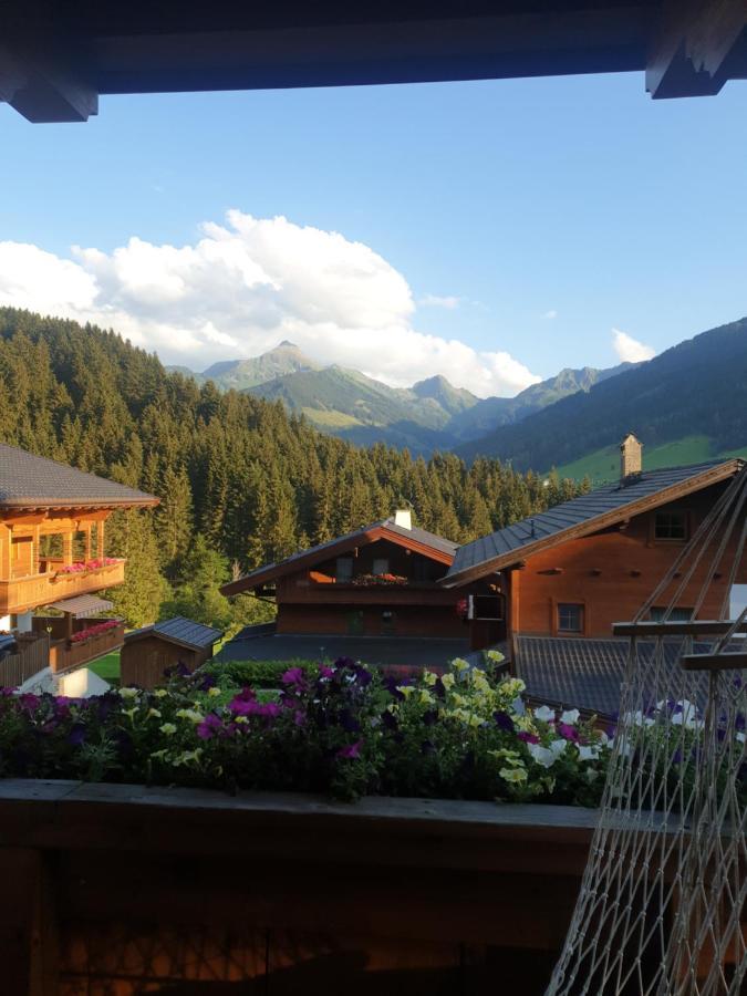 Haus Theresia Alpbach Luaran gambar