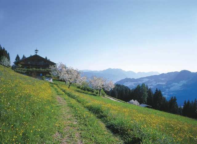 Haus Theresia Alpbach Luaran gambar