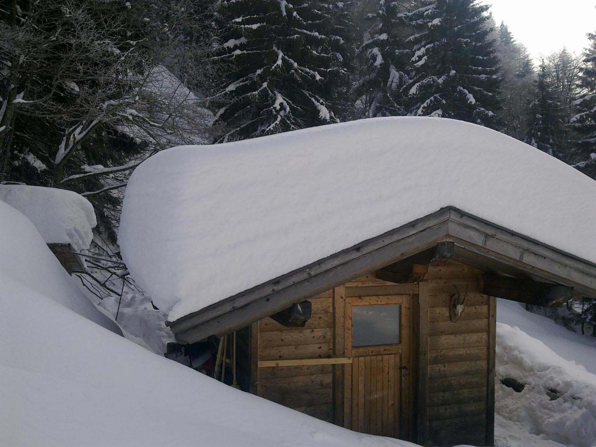 Haus Theresia Alpbach Luaran gambar