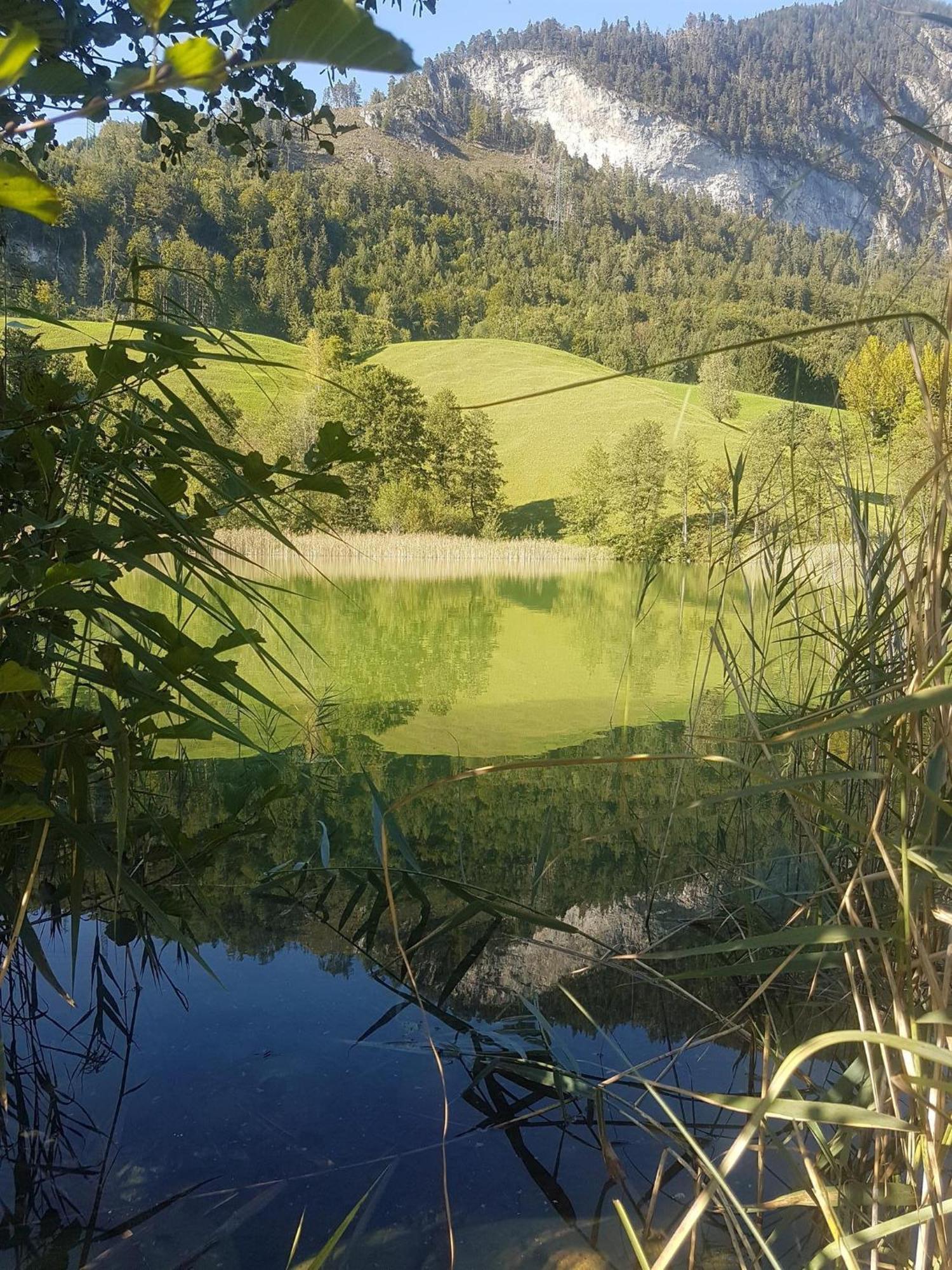 Haus Theresia Alpbach Luaran gambar